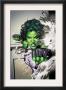She-Hulk #5 Cover: She-Hulk by Adi Granov Limited Edition Pricing Art Print