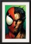 Ultimate Spider-Man #67 Cover: Spider-Man And Wolverine by Mark Bagley Limited Edition Print