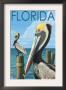 Brown Pelicans - Florida, C.2008 by Lantern Press Limited Edition Print
