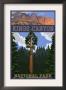 Kings Canyon Nat'l Park - General Sherman Tree - Lp Poster, C.2009 by Lantern Press Limited Edition Pricing Art Print