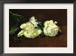 Still Life, White Peony by Edouard Manet Limited Edition Pricing Art Print