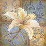 White Lily by Kim Lewis Limited Edition Print