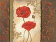 Poppy I by Kim Lewis Limited Edition Print