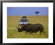 Rhinoceros, Masai Mara, Kenya, Africa by Eric Horan Limited Edition Print