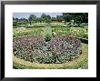 Westbury Court Garden, England by Lauree Feldman Limited Edition Print