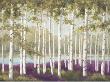 Plum Forest Floor by Jill Schultz Mcgannon Limited Edition Print