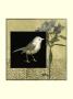 Bird Fantasy I by Jennifer Goldberger Limited Edition Print