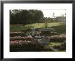 Tatton Park, Cheshire View Across Bedding And Fountain To Sloping Lawn & Building by Clive Boursnell Limited Edition Print