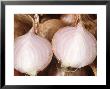 Shallot (Allium Cepa Var Aggregatum Red Sun), Close-Up Cut Vegetable by Chris Burrows Limited Edition Print