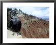 Common Raven, Bryce Canyon National Park, Utah, Usa by Olaf Broders Limited Edition Print