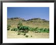 Oasis, Morocco by David Cayless Limited Edition Print