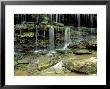 Falls On A Tributary Of The Caney Falls River, Tn by Willard Clay Limited Edition Pricing Art Print