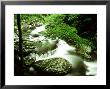 Summer Scene Along Middle Prong Of Little River, Tn by Willard Clay Limited Edition Print