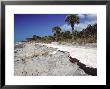 Beach Erosion Destroys A Coastal Road by David M. Dennis Limited Edition Print