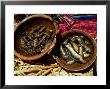 Fish, Uros Islands, Peru by Paul Franklin Limited Edition Print