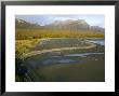 Aerial View Of Hallo Bay, Alaska, Usa by Mark Hamblin Limited Edition Print