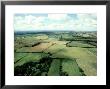 Farmland, Uk by Oxford Scientific Limited Edition Print