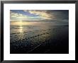 Dornoch Beach At Dawn, Scotland by Iain Sarjeant Limited Edition Print