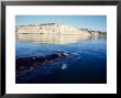 Southern Right Whale, Below Surfac, Valdes Peninsula by Gerard Soury Limited Edition Print