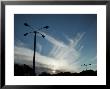 Mare's Tails, Clouds At Sunset & Lamp Post, Fl by Pat Canova Limited Edition Pricing Art Print