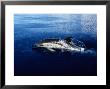 Short-Nosed Common Dolphin, Porpoising, Portugal by Gerard Soury Limited Edition Print