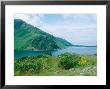 Ennerdale Water, The Lake District, Uk by Ian West Limited Edition Print