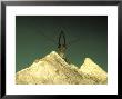 Dobsonfly, Usa by G. W. Willis Limited Edition Print