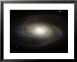 Spiral Galaxy M81 by Stocktrek Images Limited Edition Pricing Art Print
