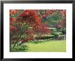 Mount Ushmore Gardens, County Wicklow, Leinster, Republic Of Ireland (Eire) by Michael Busselle Limited Edition Print