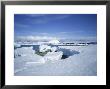 Coastal Landscape, Antarctic Peninsula, Antarctica, Polar Regions by Geoff Renner Limited Edition Print