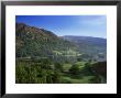 Rydal Water From Loughrigg Terrace, Lake District National Park, Cumbria, England by Roy Rainford Limited Edition Print
