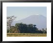 Mt. Kilimanjaro, Amboseli, Kenya, Africa by Robert Harding Limited Edition Print