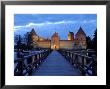 Trakai Castle Illuminated At Night, Trakai, Near Vilnius, Lithuania, Baltic States, Europe by Gary Cook Limited Edition Print