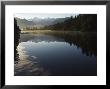 Lake Matheson In The Evening Reflecting Mount Tasman And Aoraki, South Island, New Zealand by Chris Kober Limited Edition Print