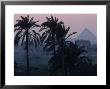 Agricultural Flood Plain, Mudbrick Step Pyramid, 3Rd Dynasty, Saqqara, Egypt by Kenneth Garrett Limited Edition Print