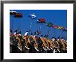 Men Riding Decorated Elephants At Annual Pooram Festival, Thrissur, India by Paul Beinssen Limited Edition Print