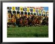 Start Of Horse Race, Sydney, New South Wales, Australia by Oliver Strewe Limited Edition Print
