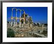 Great Palace From The Umayyad Period (Early 8Th Century), Aanjar, Al Biqa, Lebanon by Jane Sweeney Limited Edition Print