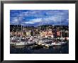 Yachts And Sailing Boats In The Historic Harbour, Genova, Liguria, Italy by Setchfield Neil Limited Edition Print