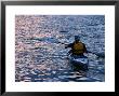 Kayaking From The Downtown Boathouse, New York City, New York, Usa by Angus Oborn Limited Edition Print