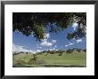 Oak Woodlands And Spring Clouds, California by Rich Reid Limited Edition Print