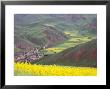 Village Nestled In A Valley And Fields Wheat And Flowering Rape, Qinghai, China by David Evans Limited Edition Print