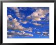 Blue Sky In Summer With Cumulus Clouds by John Eastcott & Yva Momatiuk Limited Edition Print