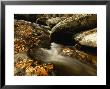 Fox Creek And Autumn Leaves In The Jefferson National Forest by Raymond Gehman Limited Edition Print