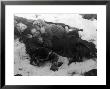 Frightened Children Taking Cover In The Woods During Russian Air Raid by Carl Mydans Limited Edition Pricing Art Print