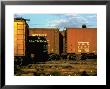 Railroad Box Cars Idle In Train Yard, Lit By Early Morning Sunlight by Walker Evans Limited Edition Print