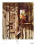 Weathered by Carolyn Blish Limited Edition Print