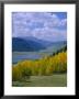 Rio Grande National Forest, Colorado, Usa by Jean Brooks Limited Edition Print