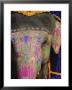 Decorated Elephant, Rajasthan, India by Bruno Morandi Limited Edition Pricing Art Print