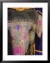 Decorated Elephant, Rajasthan, India by Bruno Morandi Limited Edition Print